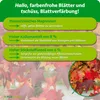 Purgrün -Amberbaum-Dünger 1 kg Produktbild-Vorschau 3