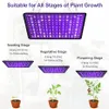 An instructional diagram showing how to use a full-spectrum LED grow light for different stages of plant growth, with recommendations for hanging height and daily light hours. Produktbild-Vorschau