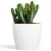 Blumentopf Pflanzkübel Pflanzgefäß Übertopf Kunststoff Produktbild-Vorschau 1
