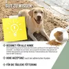 REAVET 4in1 Complete Dog 250g – Rundumversorgung für Hunde Produktbild-Vorschau 6