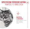 Royal Canin Ageing 11+ Mix Nassfutter 24 x 85 g Stückchen Produktbild-Vorschau 4