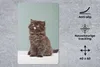 MuchoWow® Mauspad Mousepad Kätzchen - Perserkatze - Zunge - Produktbild-Vorschau 2