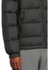 Veste The North Face NF0A88XUJK31 pour Homme Voir les images du produit 15