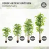 Bamboo Kunstpflanze 180 cm mit echtem Holzstamm Design Produktbild-Vorschau 6