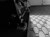 Gumowa osłona bagażnika Rigum VW Transporter T6 2015-2024 Podgląd zdjęcia produktu 3