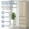 Armoire, armoire vestiaire, armoire polyvalente avec 3 Voir les images du produit 4