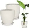 KOTARBAU® 2er Set Pflanzentopf mit Untersetzer Weiß ⌀ 31 cm Produktbild-Vorschau 1