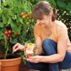 Neudorff - Azet Dungstangen Für Tomaten Und Erdbeeren 40 Produktbild-Vorschau 8