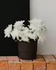 COSMOS LAC Acryllack - Spraydose für DIY, Upcycling, Produktbild-Vorschau 2