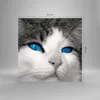 Bilder auf glas - Katze Tiere blaue Augen - 60x60cm - Produktbild-Vorschau 3