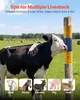 VEVOR, spazzola per animali da allevamento, 43x10 cm, set Anteprima dell’immagine prodotto 2