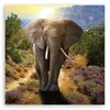 Leinwandbild Elefant bei Sonnenuntergang 30x30 Feeby Beige Produktbild-Vorschau 3