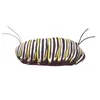 Folkmanis Schmetterling Metamorphose Produktbild-Vorschau 8