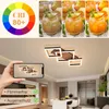 ZMH LED Deckenleuchte 58CM Schlafzimmer Deckenlampe Produktbild-Vorschau 3