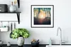 MuchoWow® Gerahmtes Poster Wald - Nebel - Sonne - Herbst Produktbild-Vorschau 4