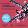 A marketing image for a blackcurrant flavored amino acid supplement, showing several ampoules and splashing liquid with berries. Produktbild-Vorschau