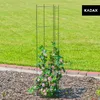 KADAX Pergola Ogrodowa Kolumna Na Kwiaty Róże 120 cm Podgląd zdjęcia produktu 7