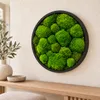 HAGO24 Moosbild Grün Kiefernholz Wandbild Mooswand Produktbild-Vorschau 1