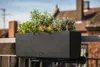 LECHUZA-Pflanzgefäß BALCONERA Stone 50 Graphitschwarz | Produktbild-Vorschau 3