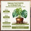Green Home Aroid Erde 18 L – Spezialerde für Monstera, Produktbild-Vorschau 5