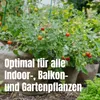 Samenshop24 Tomatenerde 20 l – Nährstoffreiche Gemüseerde Produktbild-Vorschau 3