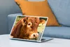 MuchoWow® Laptop Aufkleber Sticker Cover Schottischer Produktbild-Vorschau 4