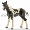 Schleich 13803 Mondo della fattoria - Puledro Pinto Anteprima dell’immagine prodotto 2