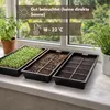 Samenshop24®  Keimsprossen "Brokkoli" Anzucht-SET,  Saat + Produktbild-Vorschau 5