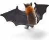 Carl Dick Flughund, Flying Fox ca. 23cm, ca. 60cm Produktbild-Vorschau 6
