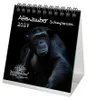 Schimpansenzauber Tischkalender 10x10cm für 2027 Affen - Produktbild-Vorschau 1