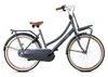 Popal Daily Dutch Basic+ N3 - Kinder Hollandrad - 26 Zoll - Produktbild-Vorschau 2