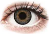 FreshLook One Day Color Grey - ohne Stärke (10 Linsen) Produktbild-Vorschau 1