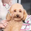 Set di forbici professionali per la cura dei cani Gimars, Anteprima dell’immagine prodotto 6