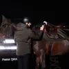 A person is saddling a horse in a dark environment with artificial lighting. Voir les images du produit