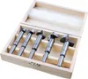 Set di punte Forstner Wiltec da 5 pezzi, punte per fori in Anteprima dell’immagine prodotto 1