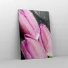 Bild auf Leinwand - Leinwandbild - Einteilig - Tulpen Tau Produktbild-Vorschau 4
