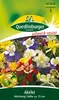 Quedlinburger Saatgut - Akelei - Samen - 501452 Produktbild-Vorschau 3