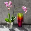A potted orchid plant is shown next to a stack of colorful cups. Anteprima dell’immagine prodotto