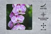 MuchoWow® Mauspad Mousepad Blühende Orchideen 30x30 cm - Produktbild-Vorschau 2