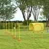 PawHut Hunde Agility Hürden Set Hundetraining Hindernislauf Produktbild-Vorschau 9