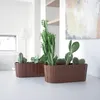 Two planters with various cacti and succulents are placed on a white surface in a well-lit room. Produktbild-Vorschau