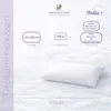 HANSKRUCHEN poduszka puchowa Wolke 7 Soft Supporting 40x80 Podgląd zdjęcia produktu 2
