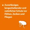 Ardap Spray antipulci da applicare sull'animale 250 ml Anteprima dell’immagine prodotto 2