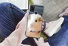 MuchoWow® Handyhülle Schutzhülle Hülle für Samsung Galaxy Produktbild-Vorschau 3