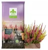 Rhododendronerde 20 l - Hochwertig - Nährstoffreich - Für Produktbild-Vorschau 1