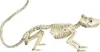 Skelett Ratte als Halloween Dekoration 20cm Produktbild-Vorschau 3