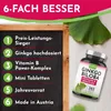 Ginkgo Biloba 6000mg Tabletten, 365 Stück - Produktbild-Vorschau 3