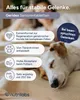 NutriLabs Canicox-HD Gelenktabletten für Hunde 140 Stk. - Produktbild-Vorschau 5