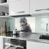 Küchenrückwand Spritzschutz Glas mit Motiv Kitten Portrait Produktbild-Vorschau 2