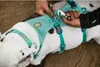 Ruffwear Hi & Light™ Hundehalsband Produktbild-Vorschau 9